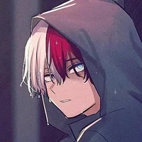 Shoto Todoroki