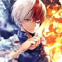 Shoto Todoroki