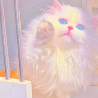 𝒶𝓇𝓉𝒽ℴ𝓊𝓇