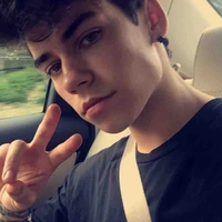 Lírio (18)