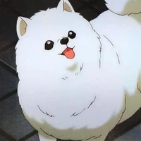 ยูตะ🐶(สัตว์เลี้ยงของอากิ)