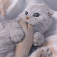 แอดเอง👻