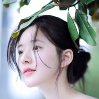Jia li
