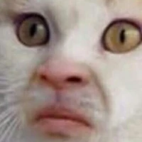 ตปก.