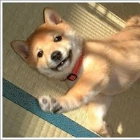 ฟูมิ