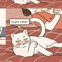 Author- Cat-errr