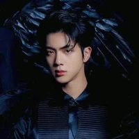 kim seokjin(ML)