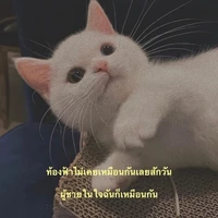 ไรท์เอง