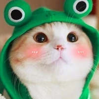 แมวเหมียว[แอดเองแหละ]