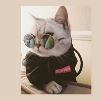 𝗔𝘂𝘁𝗵𝗼𝗿