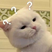 ไรต์ผู้เหล่ท่อ