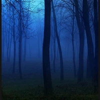 unknown 3