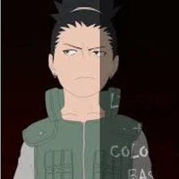 Shikamaru 13 años A.D
