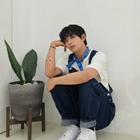 Jang D1