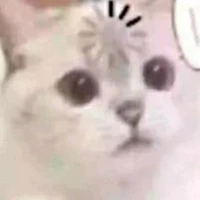 แอดเอง