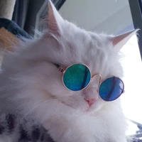 Author | Me
