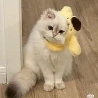 นุ้งแอดเองค่า!