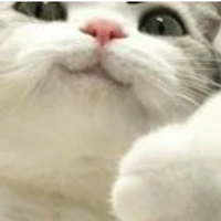 แอดเอง(พระเจ้า):∆