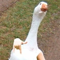 gooseboy