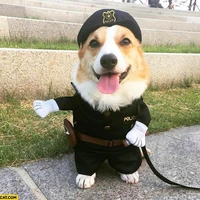 police