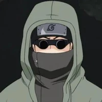 Shino aburame ( alfa d )