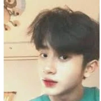 เตชิต