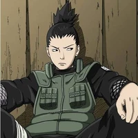 shikamaru (alfa)