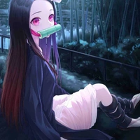  เนชิโบ(อสูร?+น้องทันจิโร่กับเนซึโกะ+ข้างขึ้นที่0)