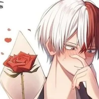 shoto héroe