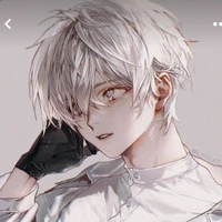 Ray(12)
