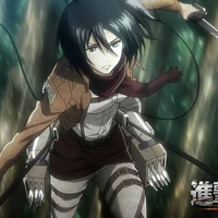 Mikasa