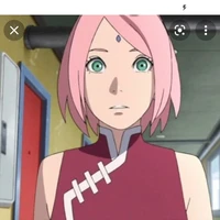 sakura(b)