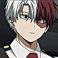 Shoto todoroki