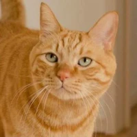 Ciro