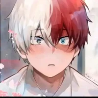 todoroki