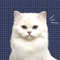 มิเกะ