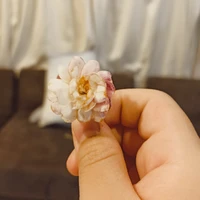 ตัวประกอบ