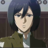 Mikasa