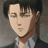 Levi