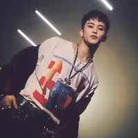 jung mark