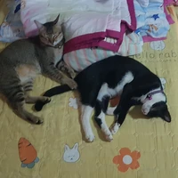 ทุกคน