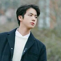 seok jin