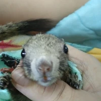 เเอด(สุดน่ารัก💗💗)