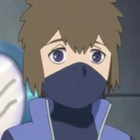 hoki