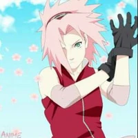 Sakura  (A.P)