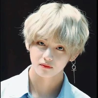 Taehyung (tae tae)