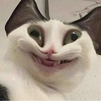 ไรท์ /แอด