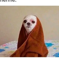 ayo merengues