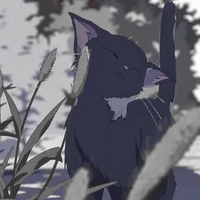 โฟม (ระบบ)