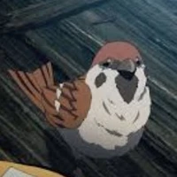 chusiki